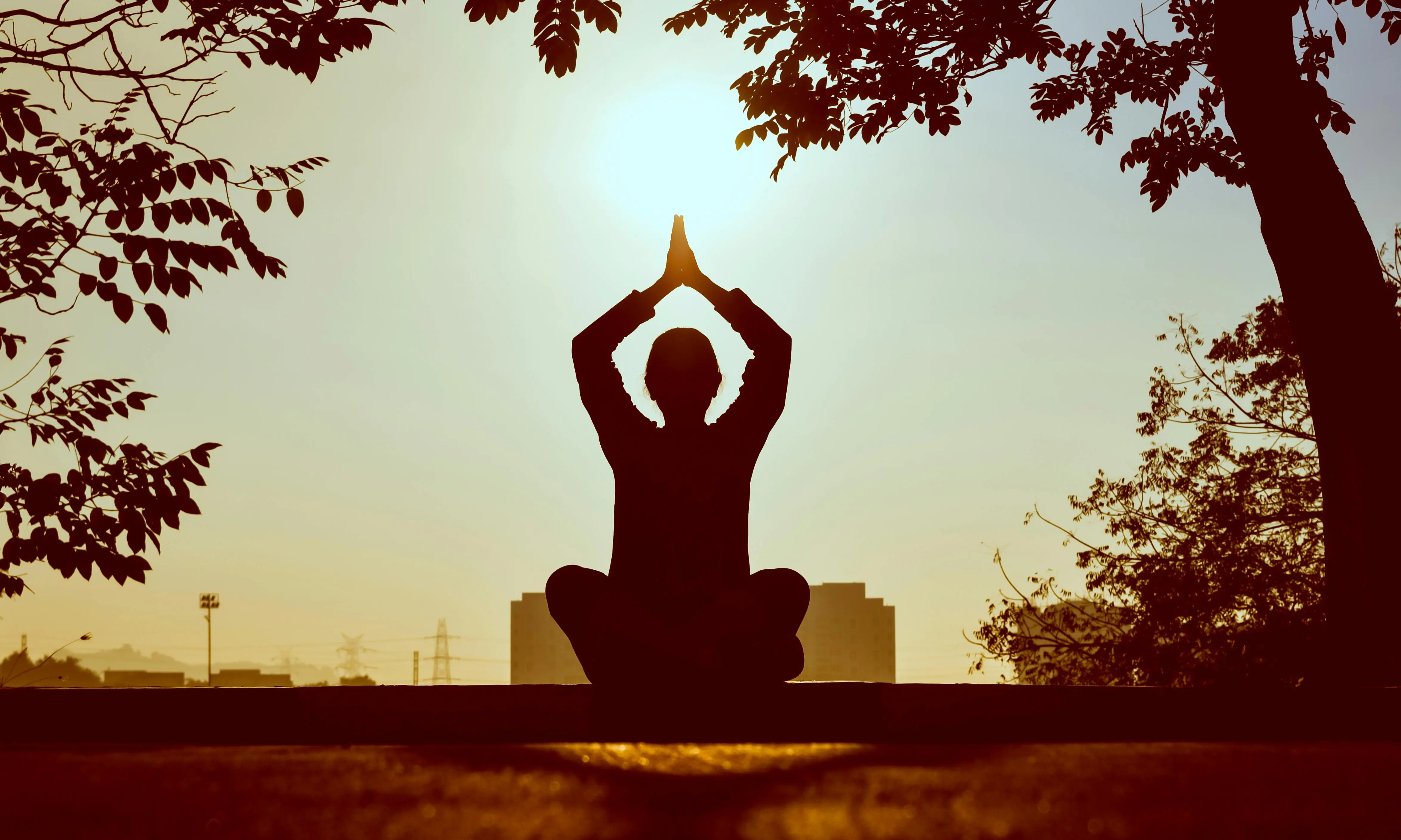 a zen developer doing yoga